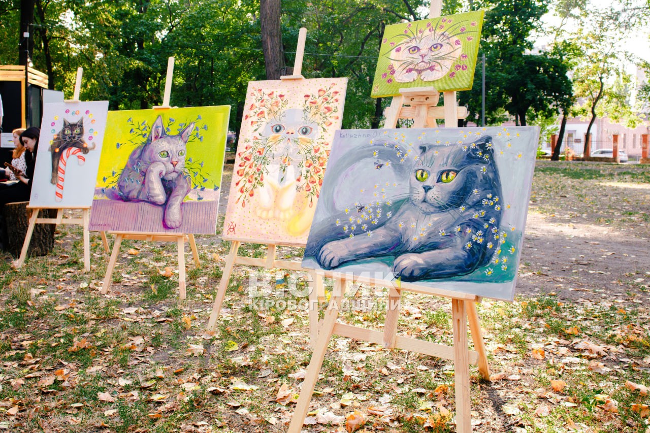 У Кропивницькому відкрили нову локацію «Простору хоробрих»