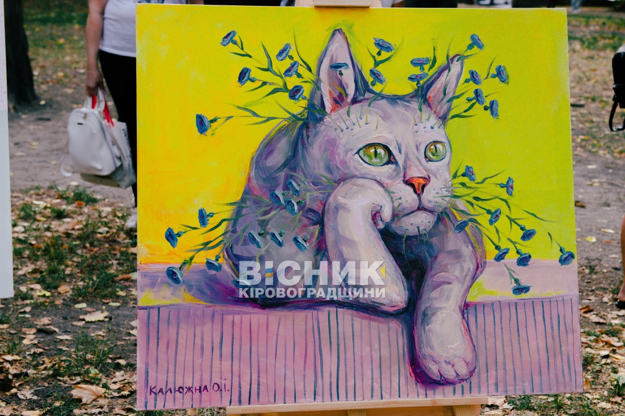 У Кропивницькому відкрили нову локацію «Простору хоробрих»