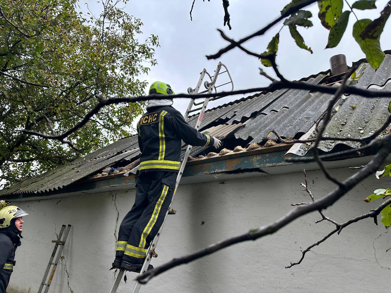 Нічна атака на Кіровоградщині: уламки збитих дронів пошкодили понад десяток будинків Нічна атака на Кіровоградщині: уламки збитих дронів пошкодили понад десяток будинків