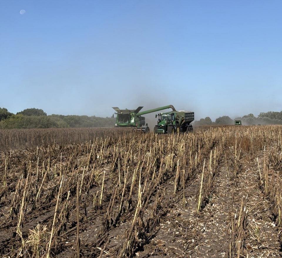 Врожай: Кіровоградщина серед лідерів