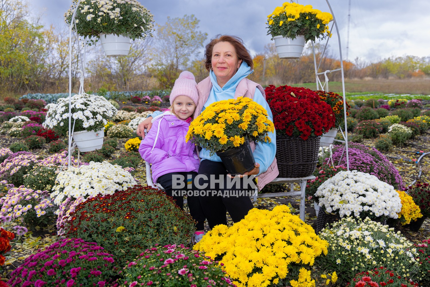 Полуниця, хризантеми і любов до життя: як Тамара Мирна з Іванівки на Кіровоградщині стала «ягідною фермеркою»