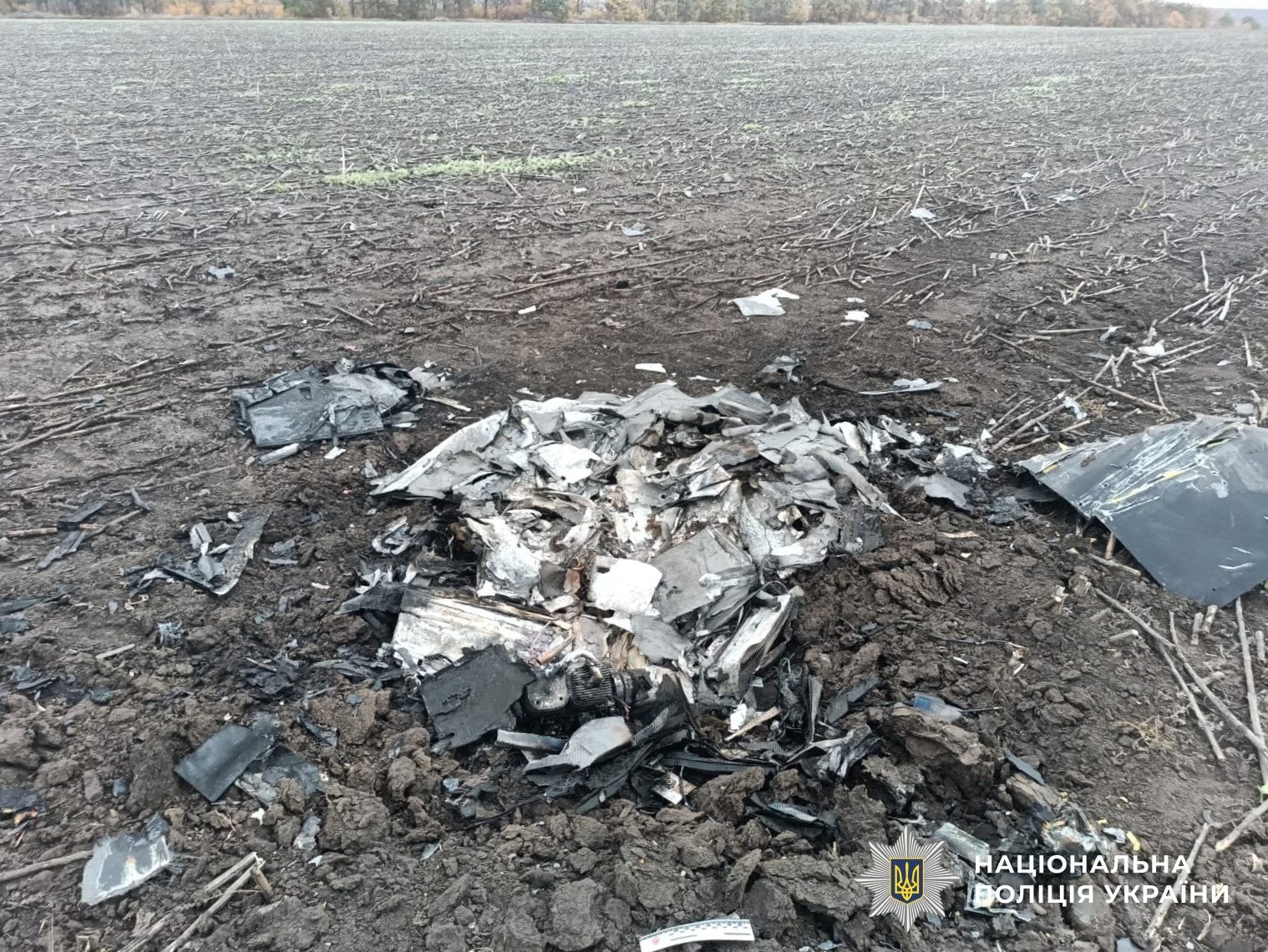 На Кіровоградщині вибухотехніки поліції знищили бойові частини ворожих дронів