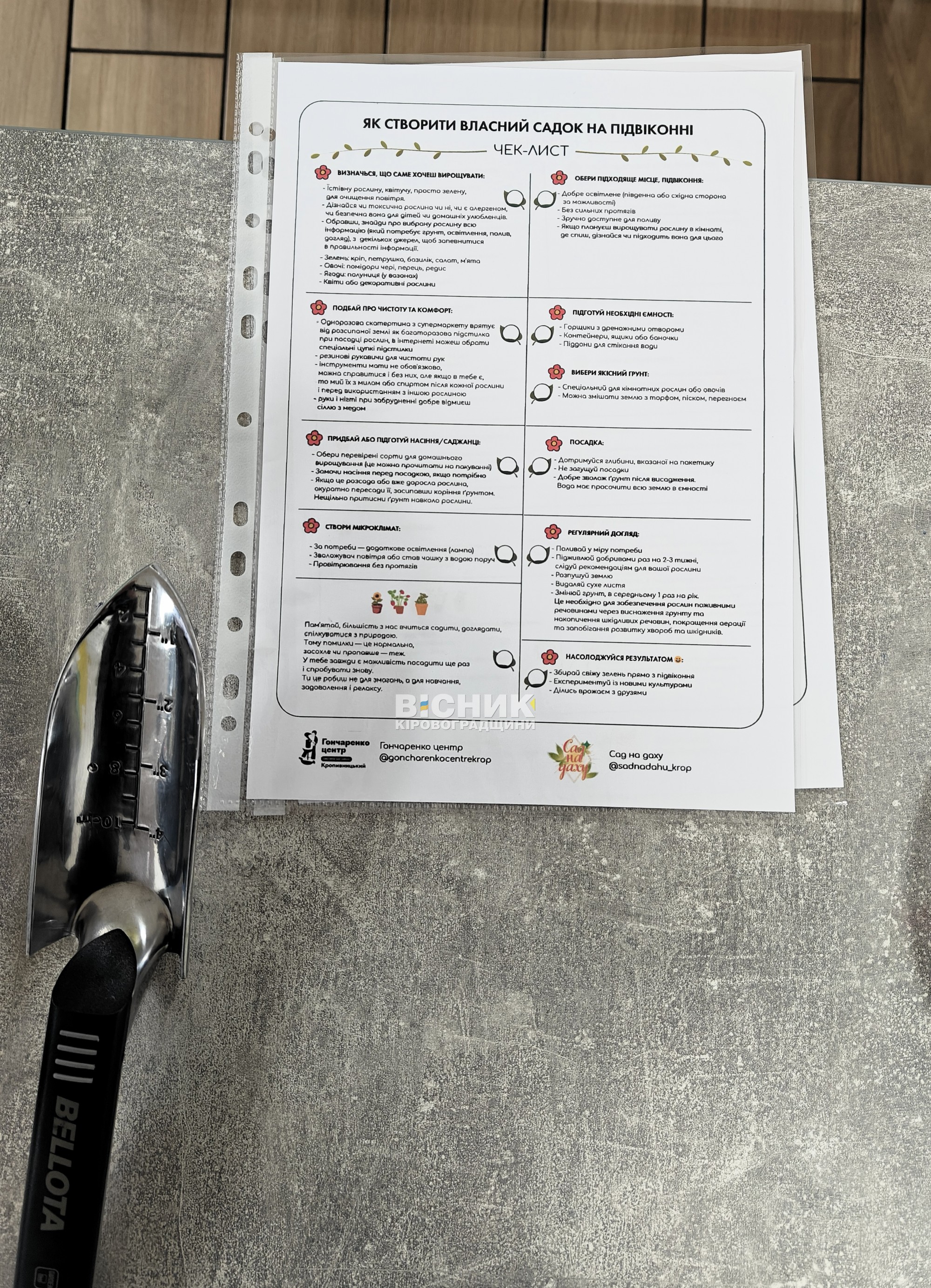 «Мій сад – на підвіконні та в душі»: турбота про рослини і про себе