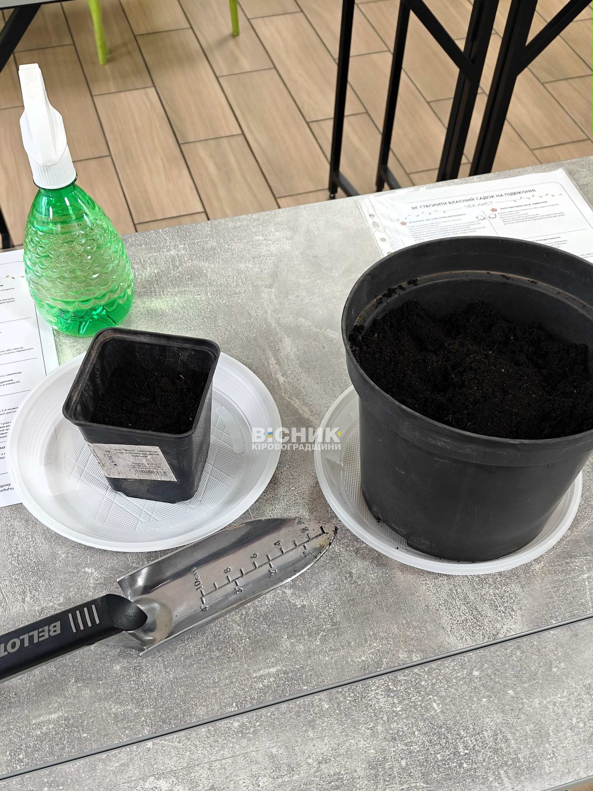 «Мій сад – на підвіконні та в душі»: турбота про рослини і про себе