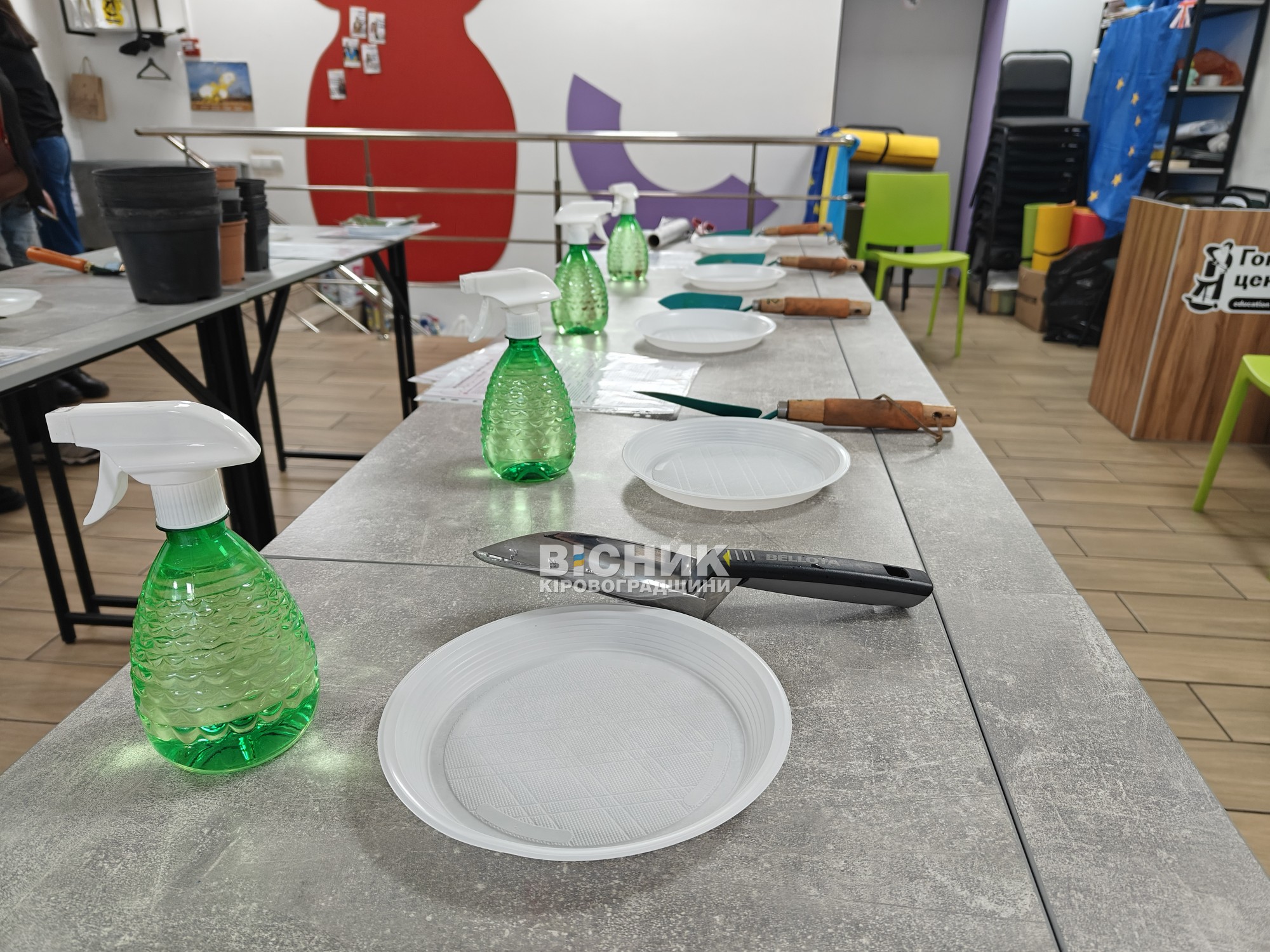 «Мій сад – на підвіконні та в душі»: турбота про рослини і про себе