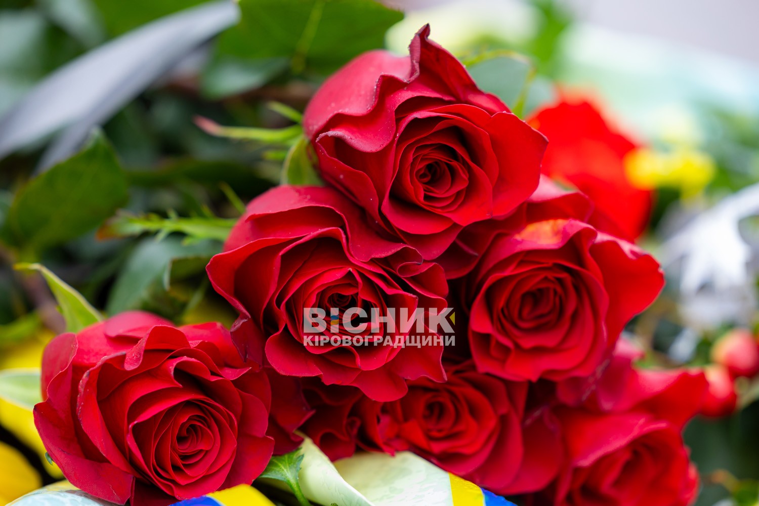 Світловодськ вшанував пам'ять Героїв у День Гідності та Свободи