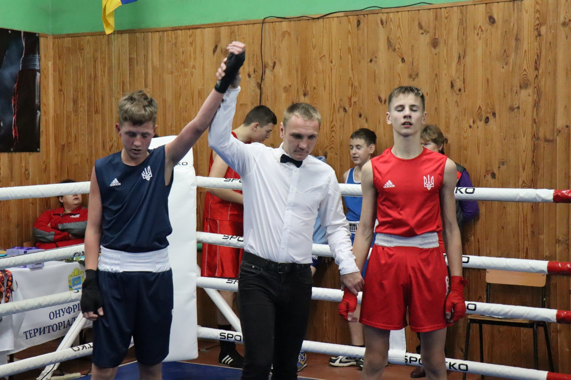 У Павлиші відбулася відкрита першість з боксу У Павлиші відбулася відкрита першість з боксу