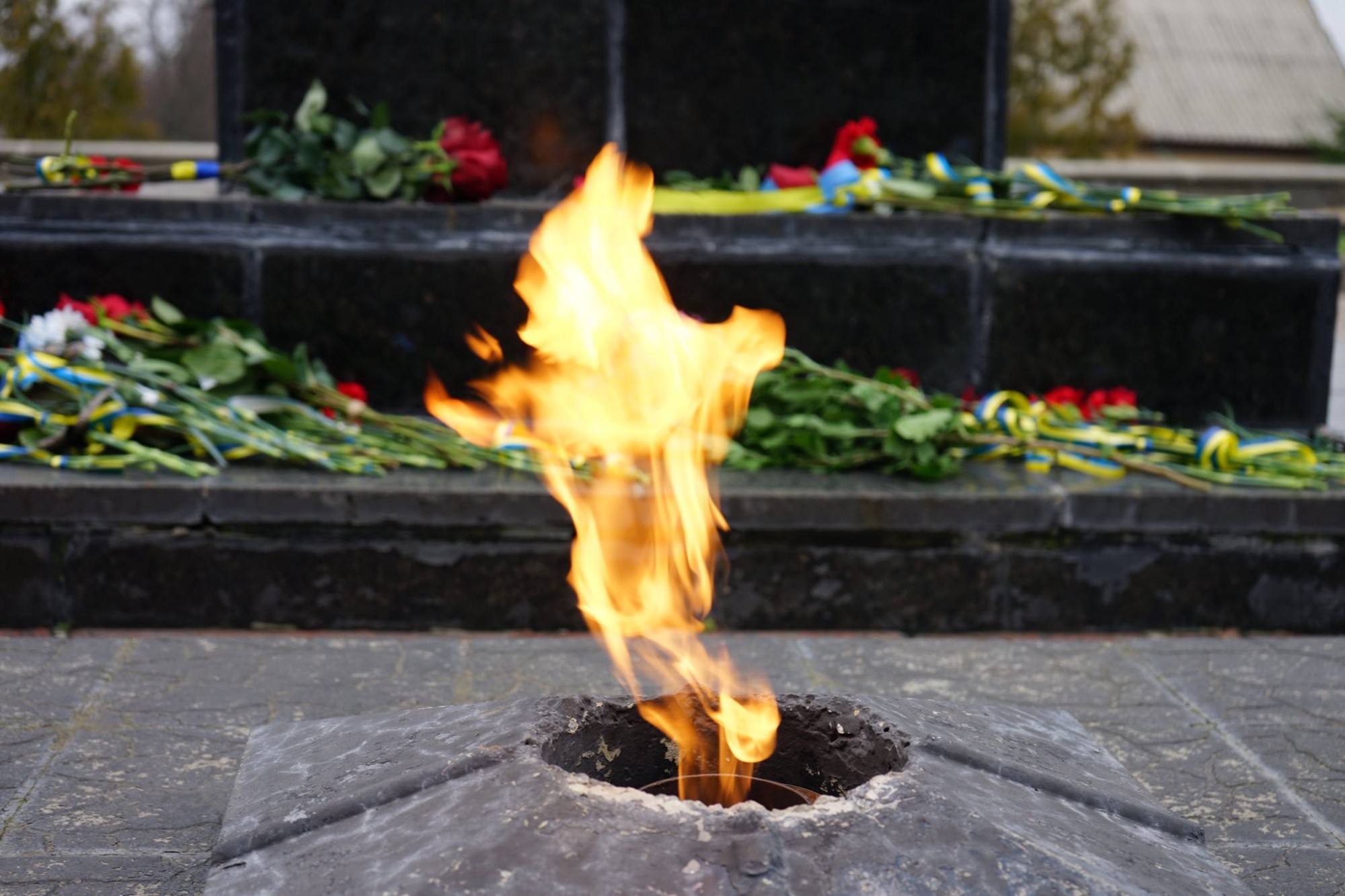 В Олександрійському районі вшанували річницю визволення від нацистських загарбників В Олександрійському районі вшанували річницю визволення від нацистських загарбників