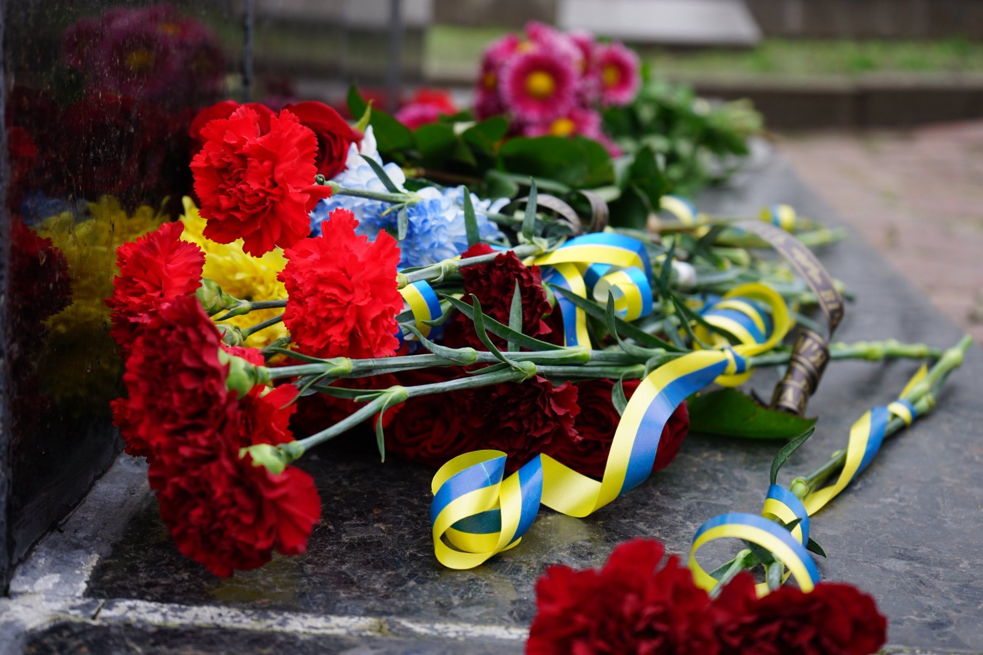 В Олександрійському районі вшанували річницю визволення від нацистських загарбників В Олександрійському районі вшанували річницю визволення від нацистських загарбників