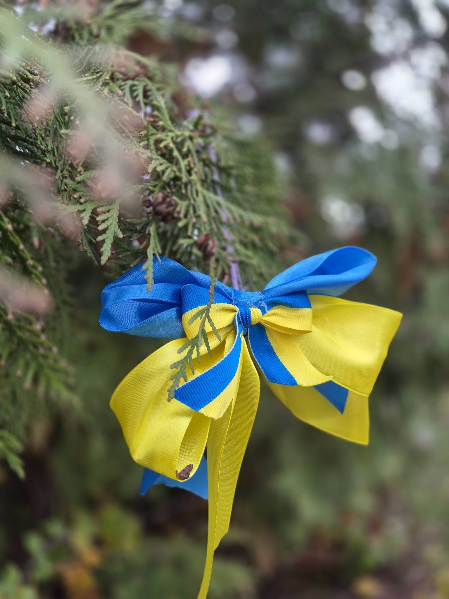 В Олександрівці прикрасили «Ялинку Перемоги» В Олександрівці прикрасили «Ялинку Перемоги»