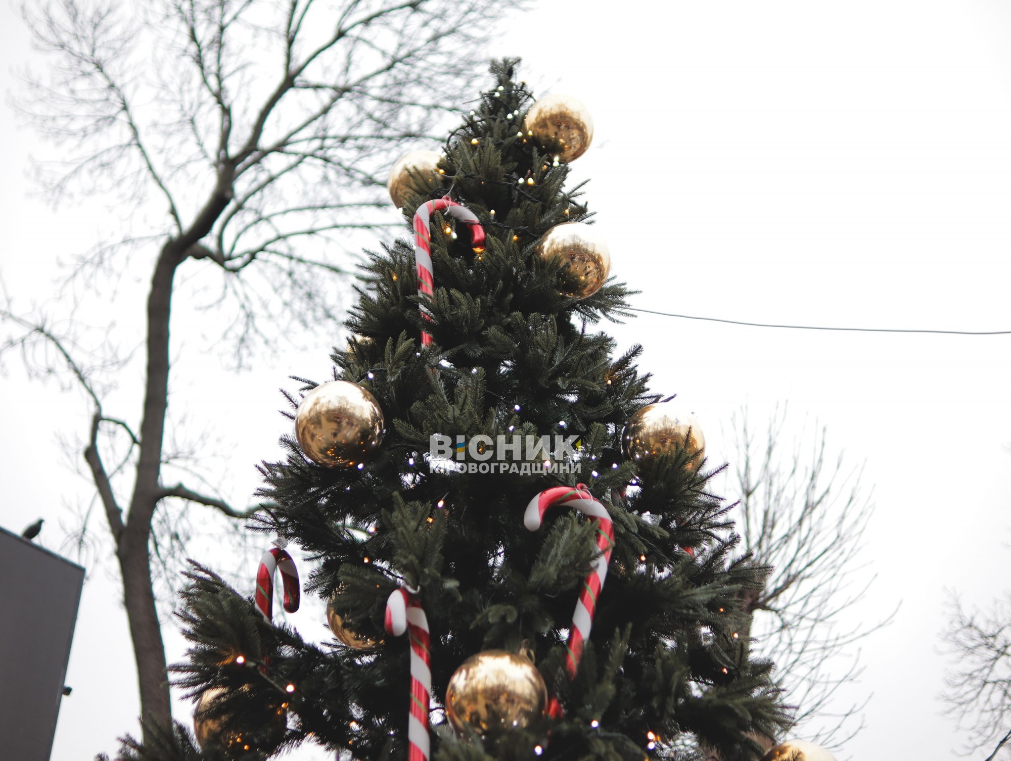 У Кропивницькому провели святкову програму для дітей до Дня Святого Миколая У Кропивницькому провели святкову програму для дітей до Дня Святого Миколая