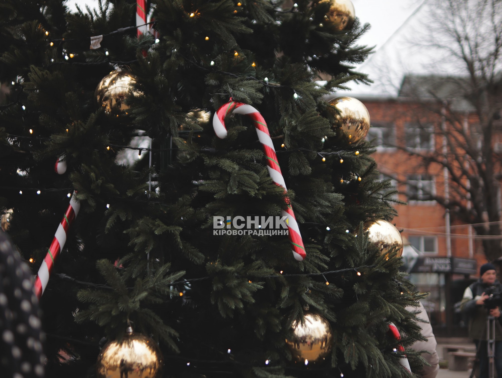 У Кропивницькому провели святкову програму для дітей до Дня Святого Миколая У Кропивницькому провели святкову програму для дітей до Дня Святого Миколая