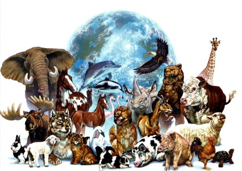 Міжнародний день захисту тварин Міжнародний день захисту тварин