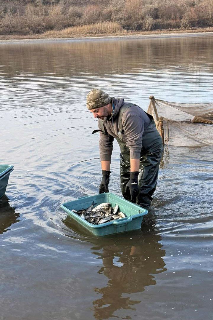 У Світловодську провели зариблення Кременчуцького водосховища