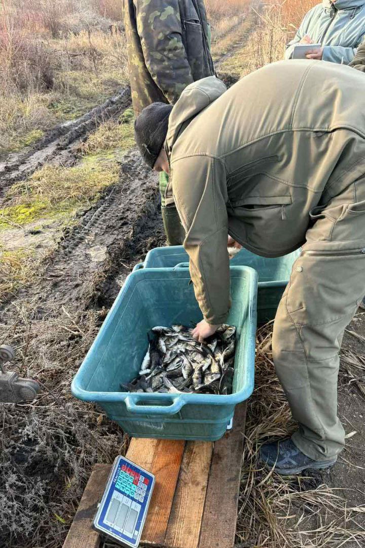 У Світловодську провели зариблення Кременчуцького водосховища У Світловодську провели зариблення Кременчуцького водосховища