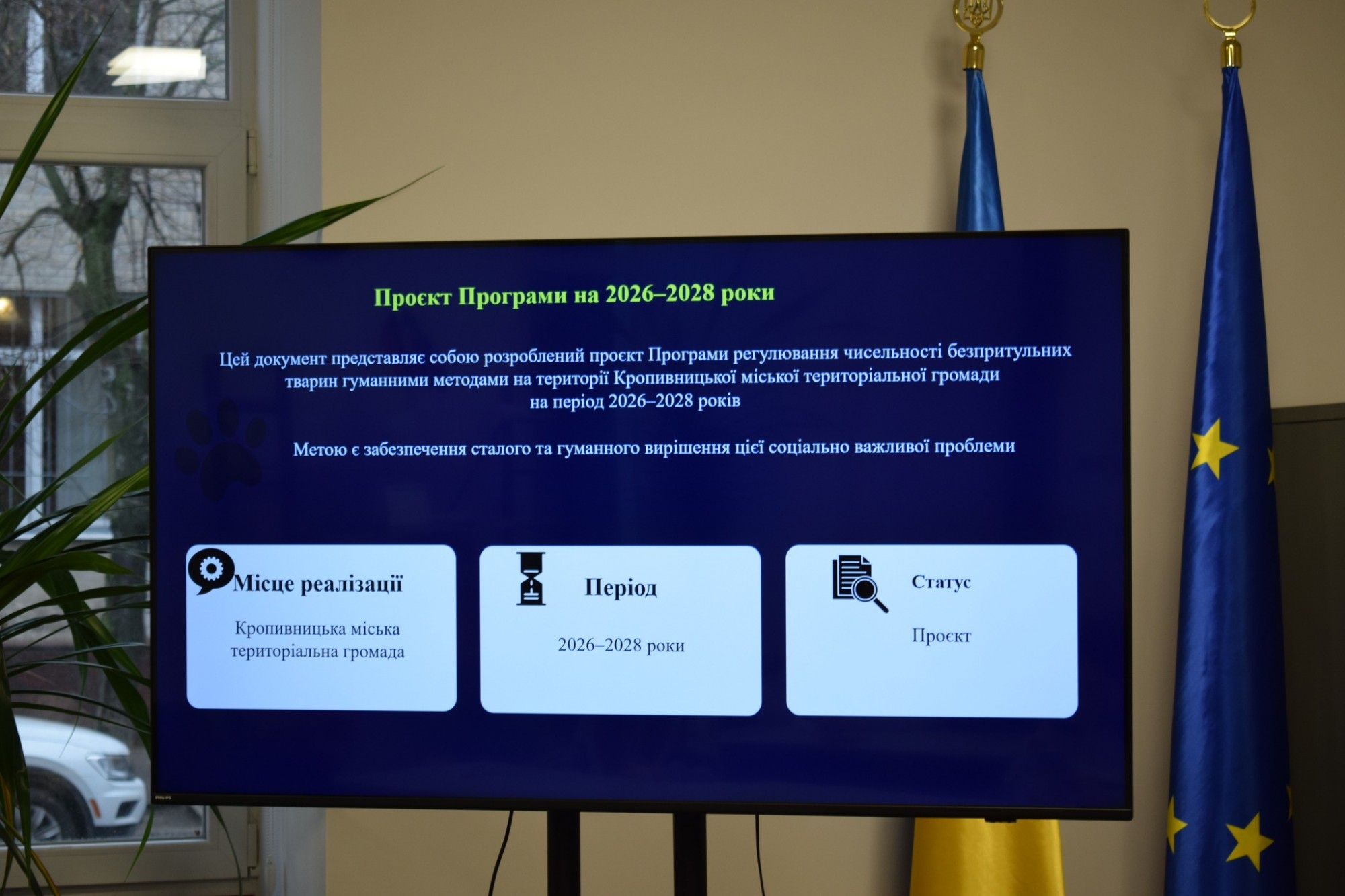 600 тисяч гривень на стерилізацію: Кропивницький залучає громаду до вирішення проблеми безпритульних тварин