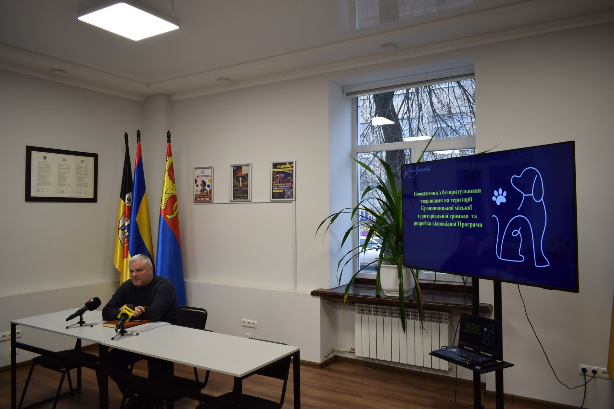 600 тисяч гривень на стерилізацію: Кропивницький залучає громаду до вирішення проблеми безпритульних тварин