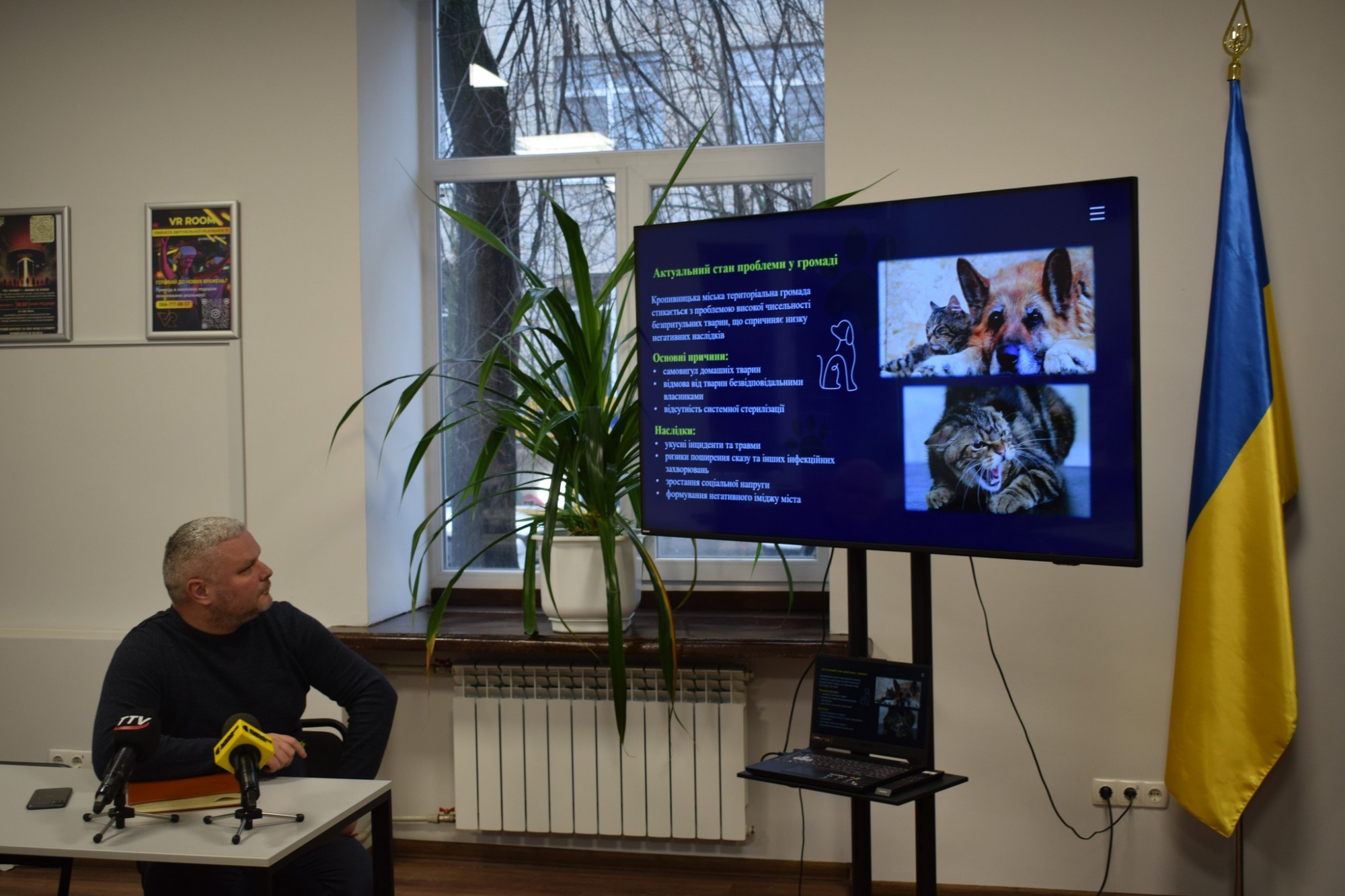 600 тисяч гривень на стерилізацію: Кропивницький залучає громаду до вирішення проблеми безпритульних тварин