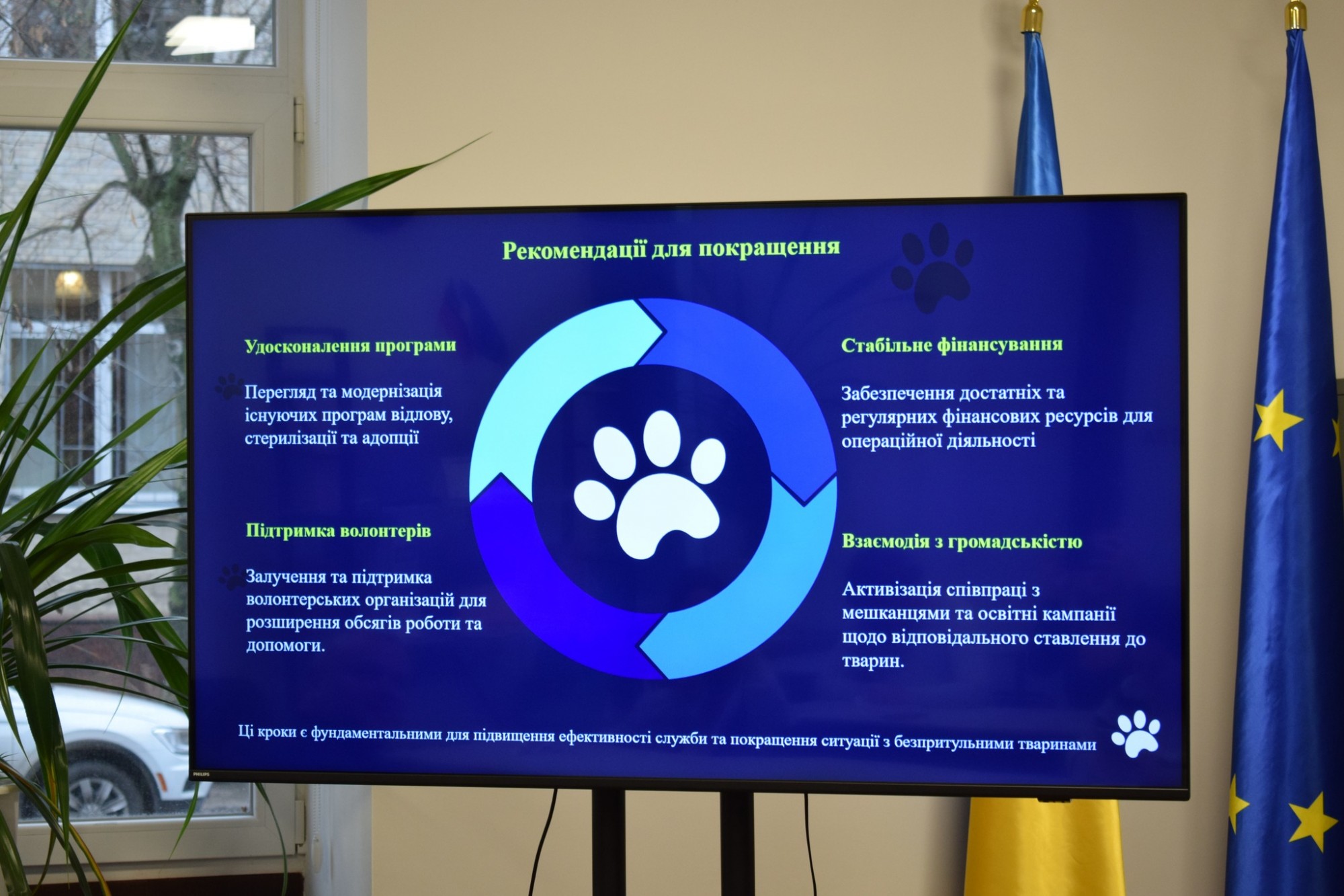 600 тисяч гривень на стерилізацію: Кропивницький залучає громаду до вирішення проблеми безпритульних тварин