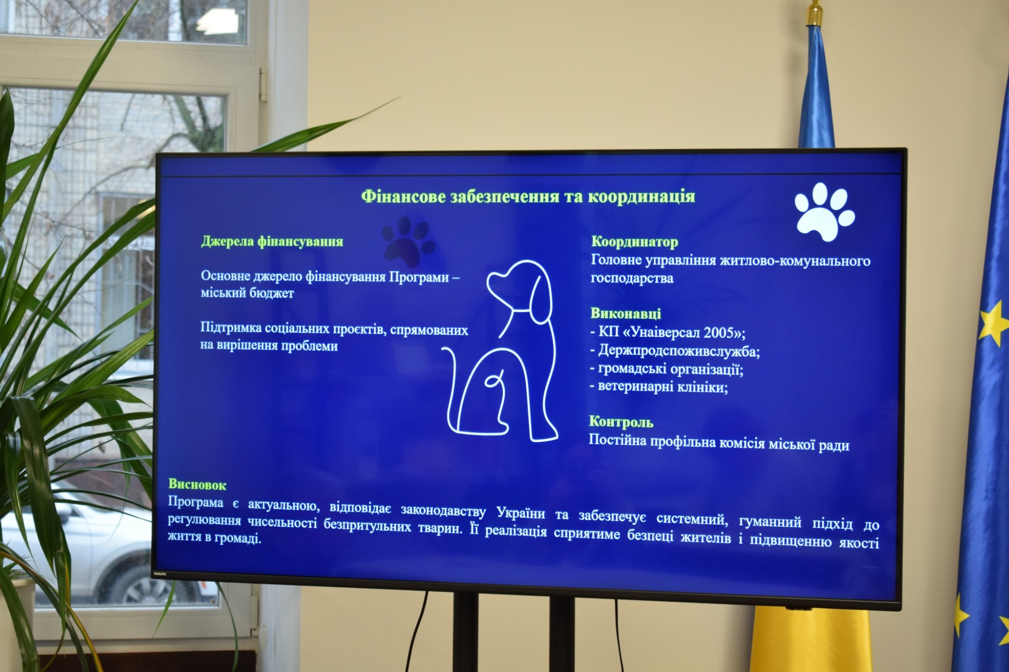 600 тисяч гривень на стерилізацію: Кропивницький залучає громаду до вирішення проблеми безпритульних тварин