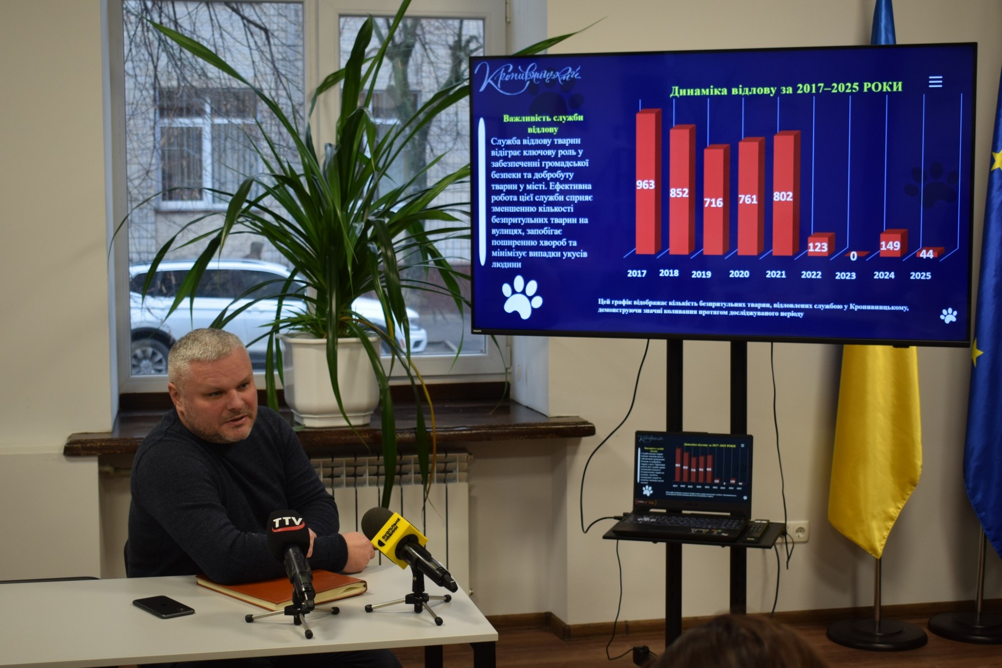 600 тисяч гривень на стерилізацію: Кропивницький залучає громаду до вирішення проблеми безпритульних тварин
