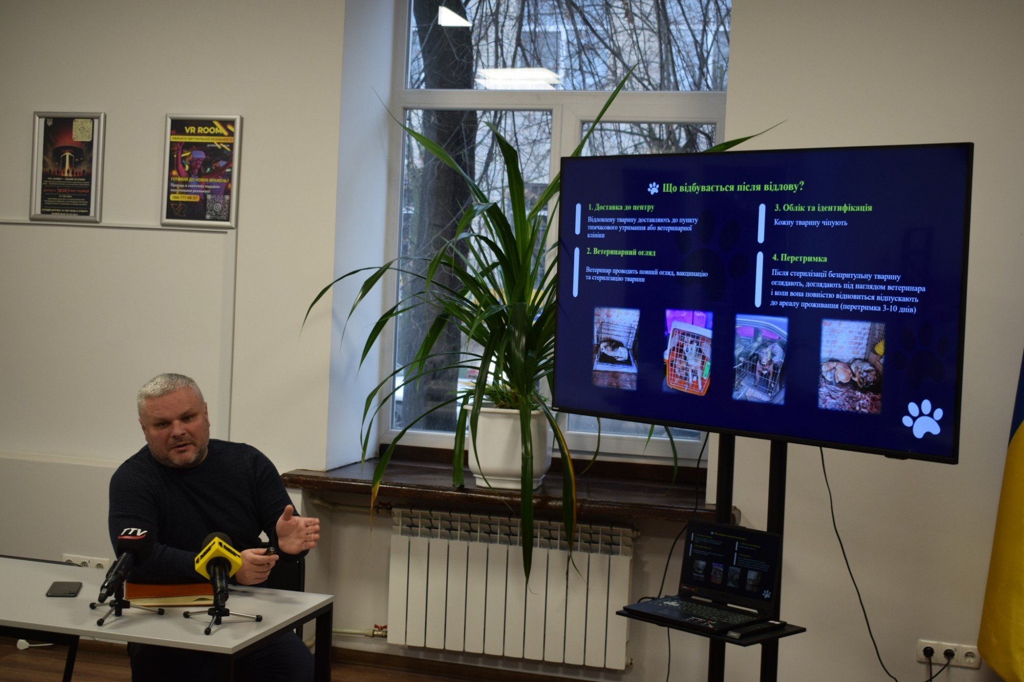 600 тисяч гривень на стерилізацію: Кропивницький залучає громаду до вирішення проблеми безпритульних тварин