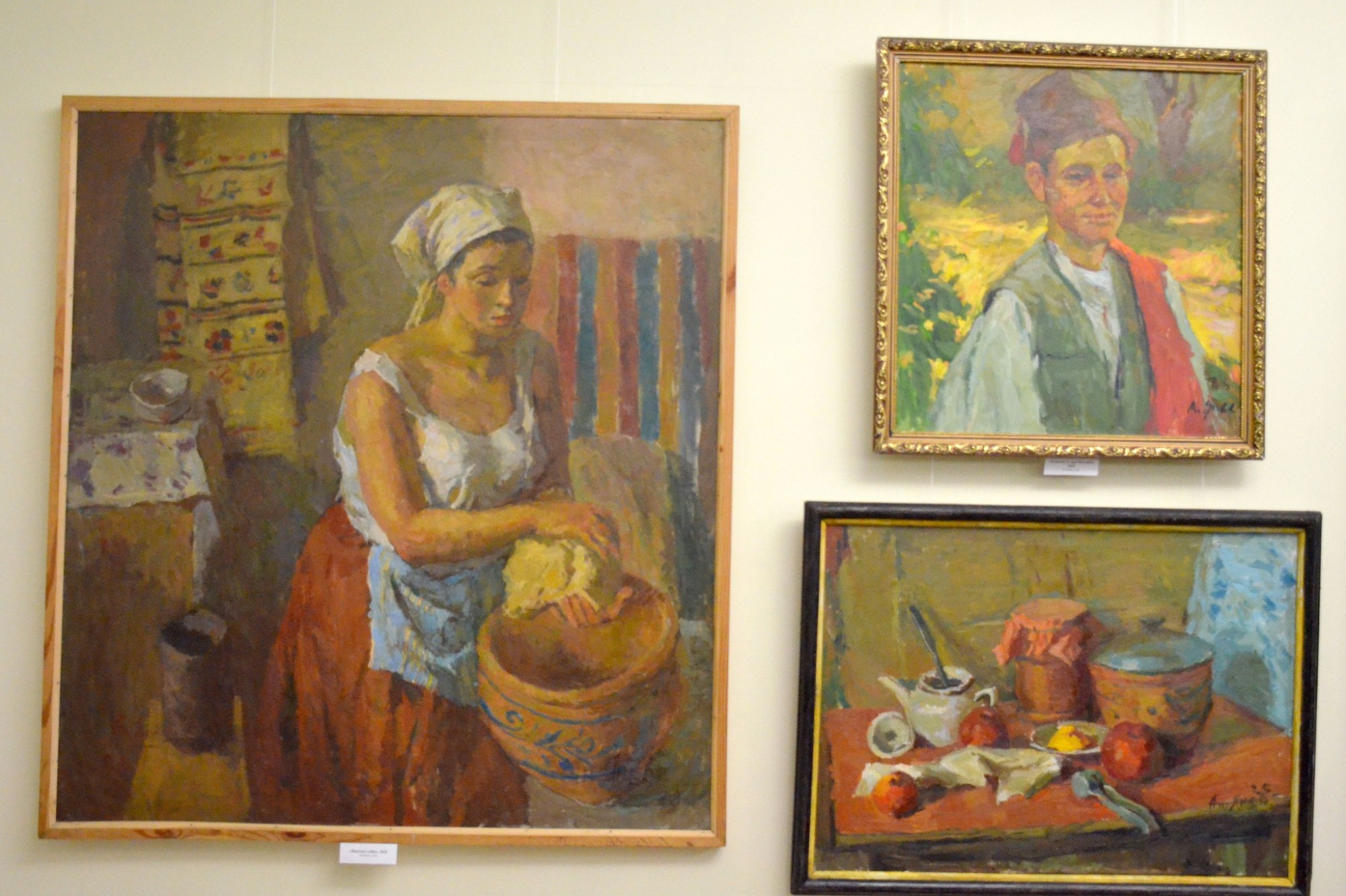 У Кропивницькому відкрили ювілейну виставку заслуженого художника України Анатолія Янєва У Кропивницькому відкрили ювілейну виставку заслуженого художника України Анатолія Янєва