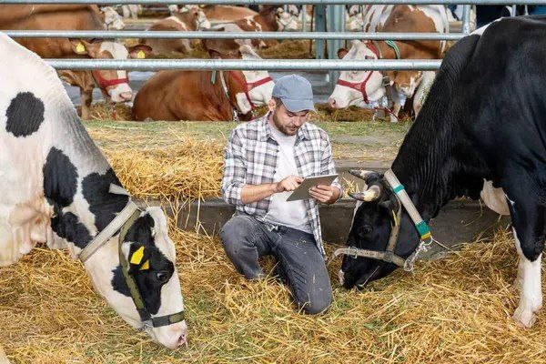 В Україні почали діяти нові правила утримання худоби та птиці