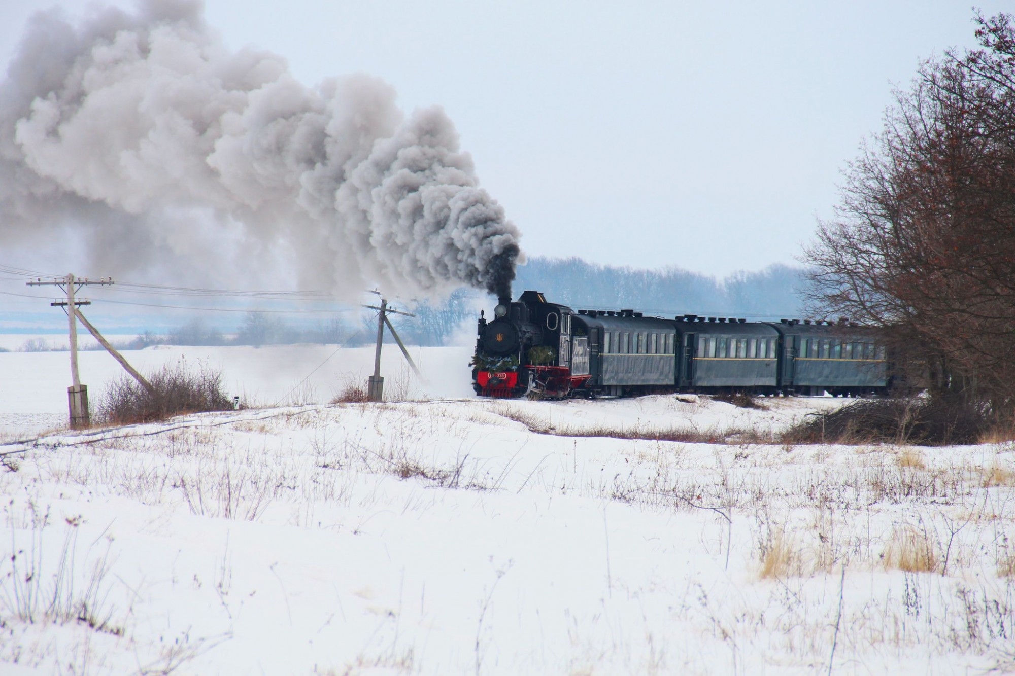 На Гайворонській вузькоколійці відкрили сезон ретро-турів 2026 На Гайворонській вузькоколійці відкрили сезон ретро-турів 2026