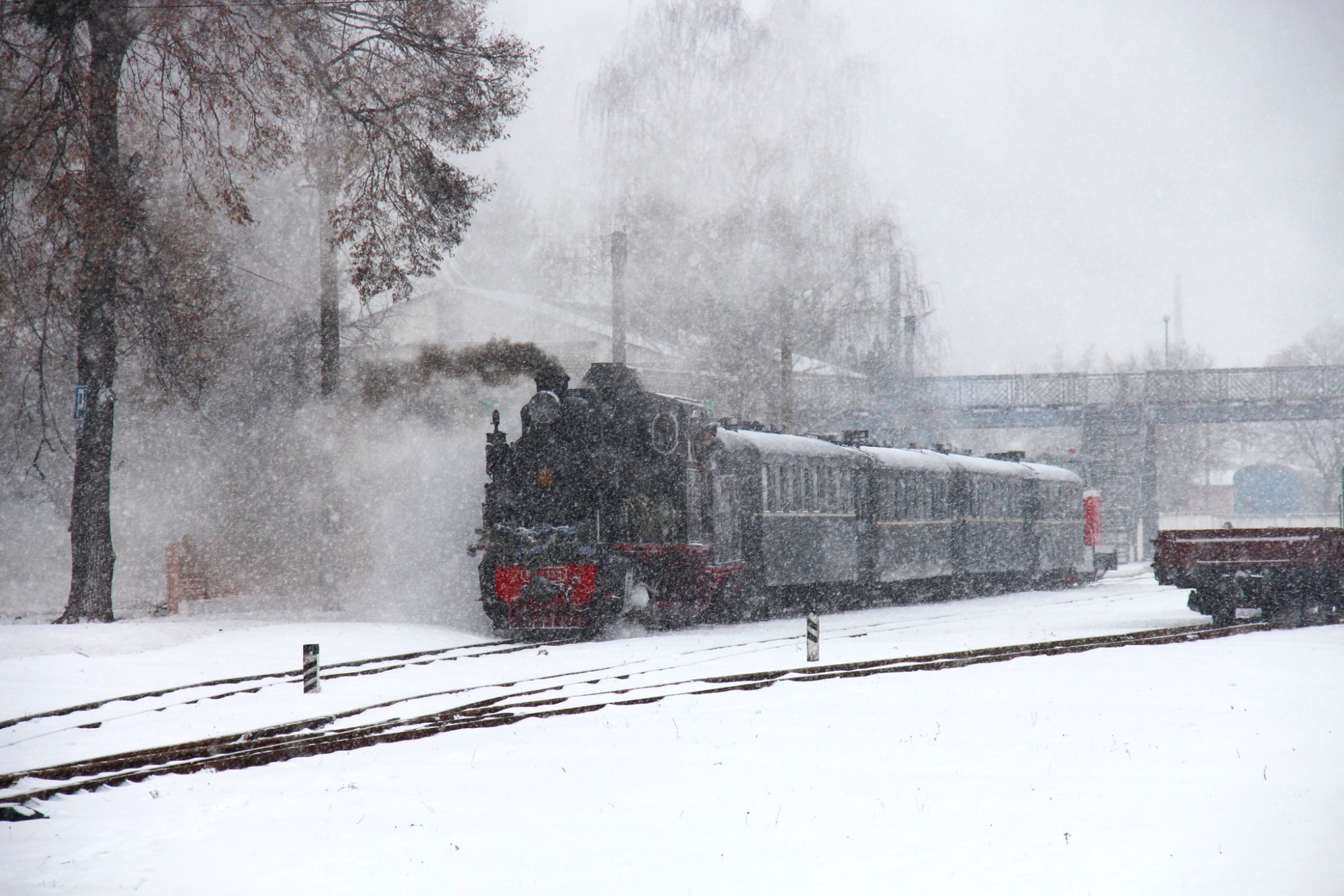 На Гайворонській вузькоколійці відкрили сезон ретро-турів 2026 На Гайворонській вузькоколійці відкрили сезон ретро-турів 2026