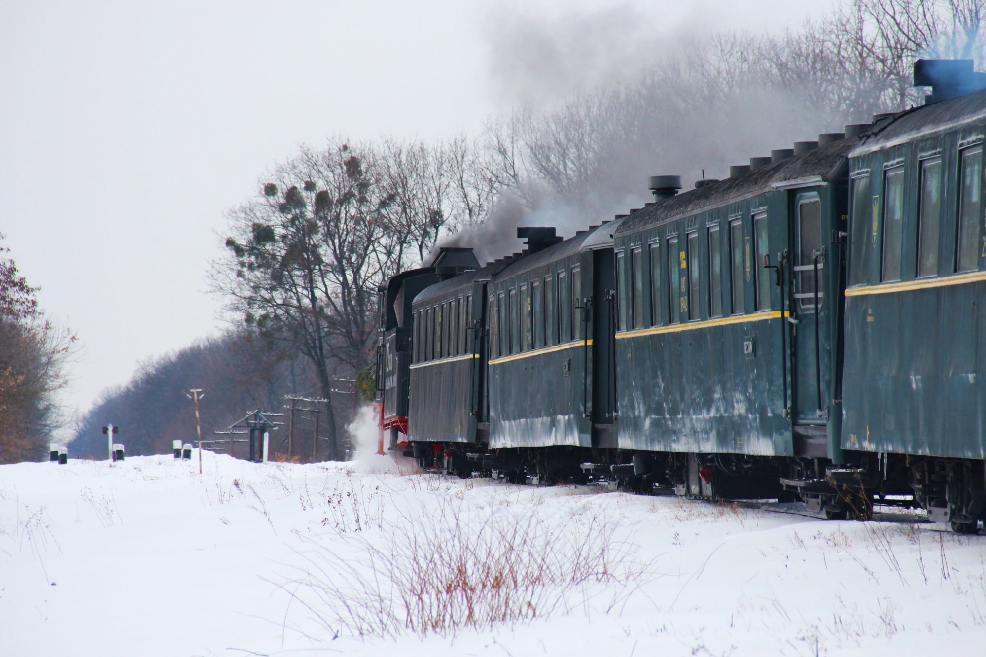 На Гайворонській вузькоколійці відкрили сезон ретро-турів 2026 На Гайворонській вузькоколійці відкрили сезон ретро-турів 2026