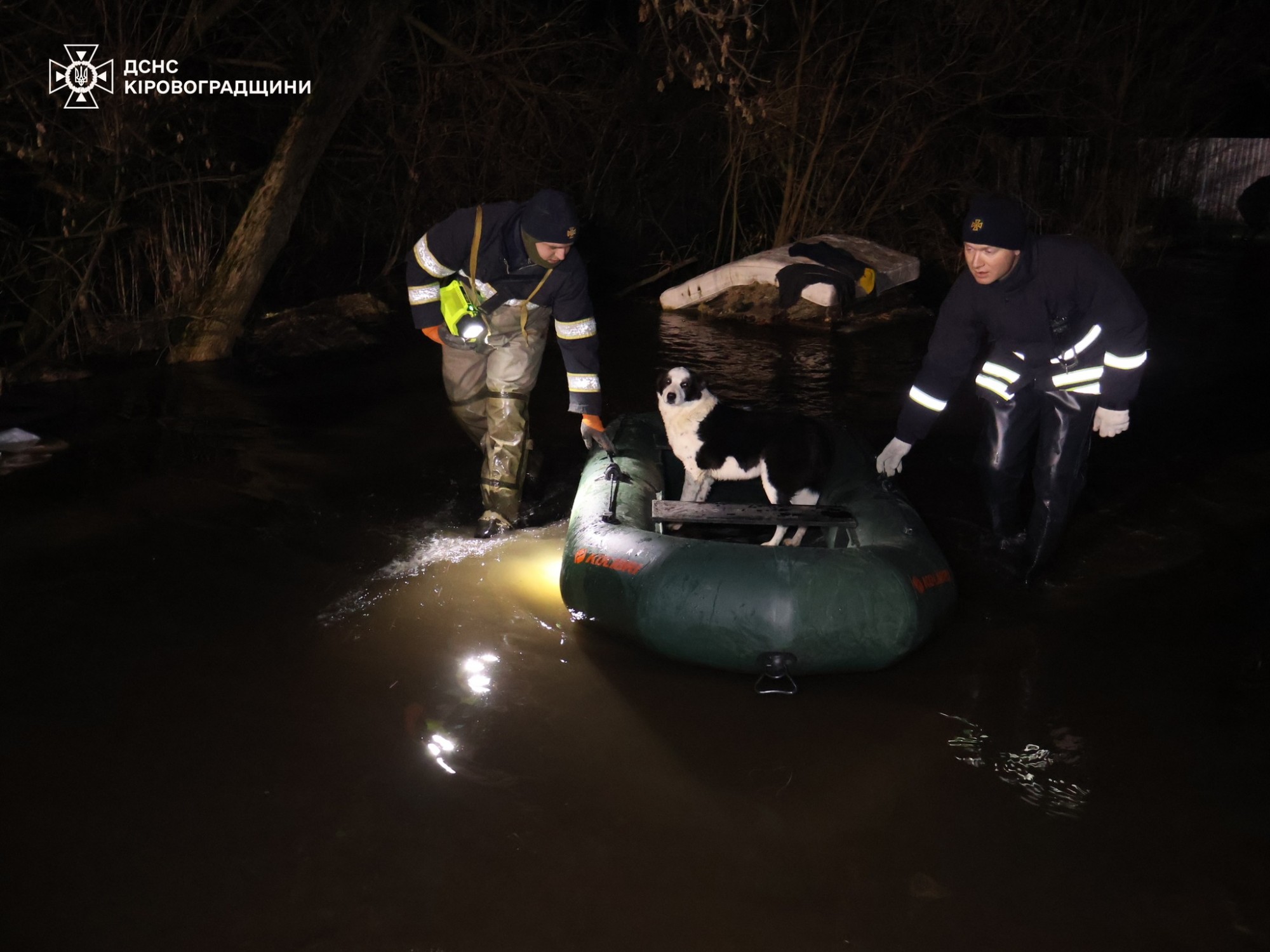 У Кропивницькому рятують притулок «Бім» через підйом рівня води У Кропивницькому рятують притулок «Бім» через підйом рівня води