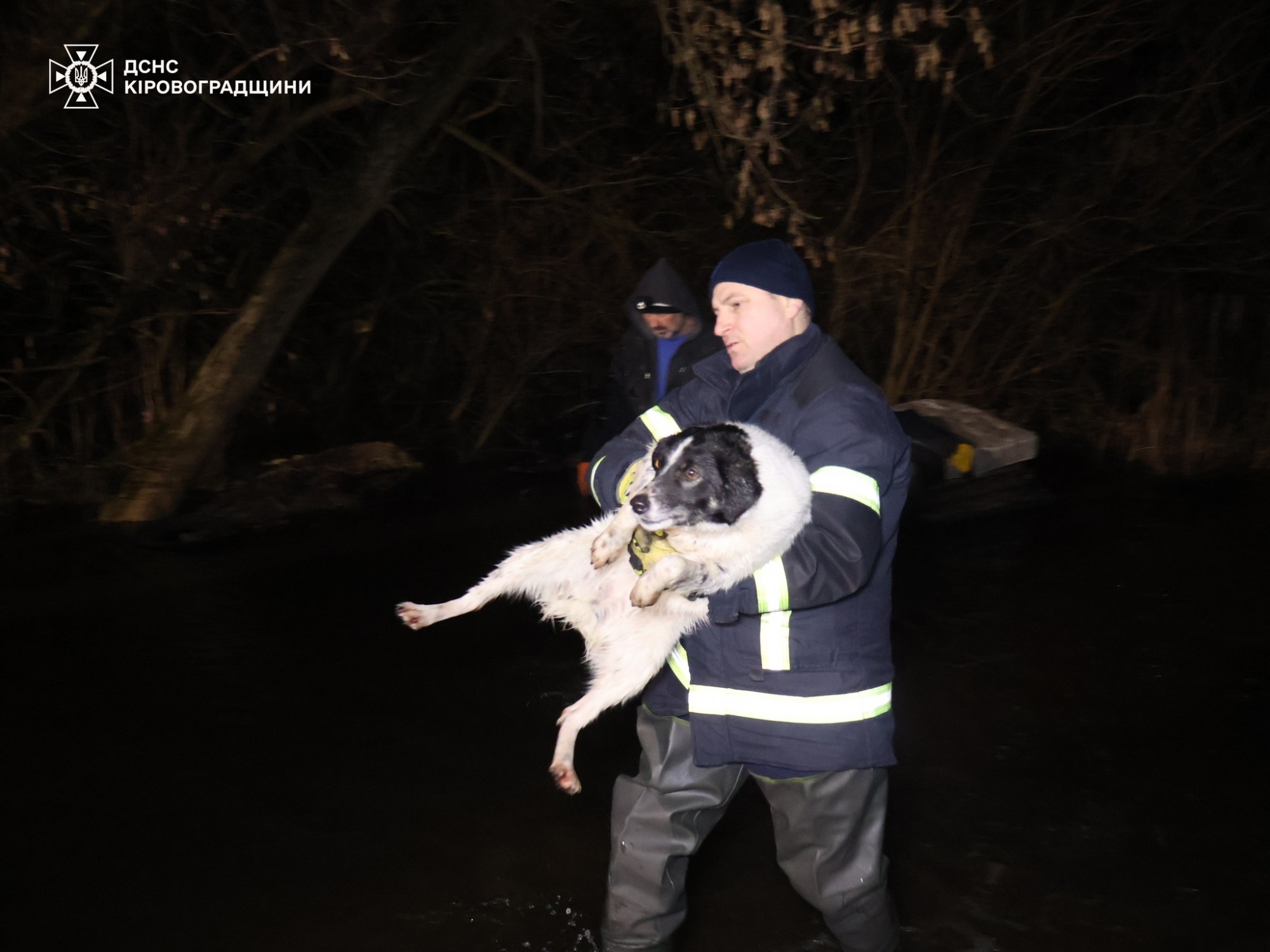 У Кропивницькому рятують притулок «Бім» через підйом рівня води У Кропивницькому рятують притулок «Бім» через підйом рівня води