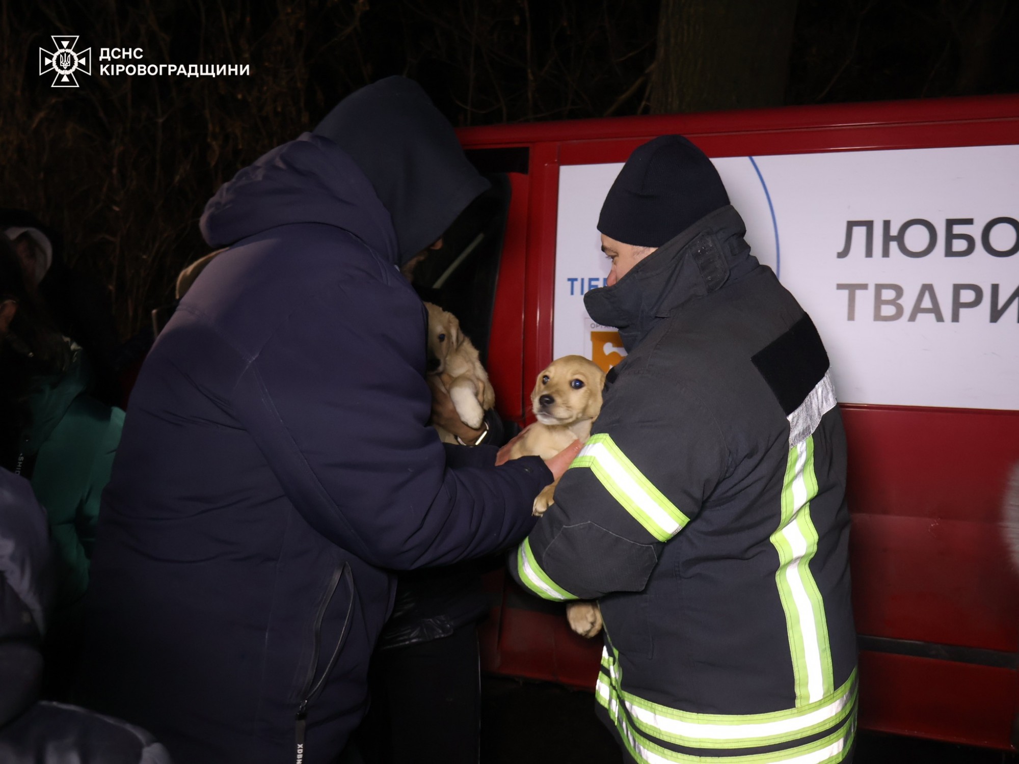 У Кропивницькому рятують притулок «Бім» через підйом рівня води У Кропивницькому рятують притулок «Бім» через підйом рівня води