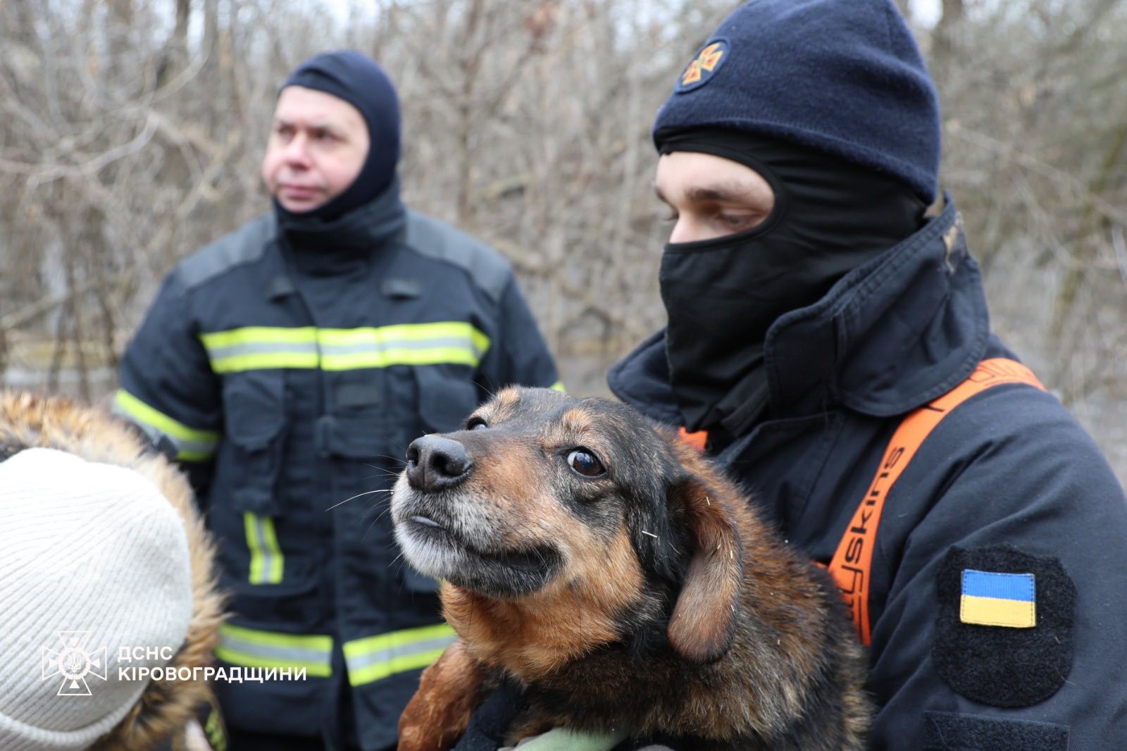 У Кропивницькому рятують притулок «Бім» через підйом рівня води У Кропивницькому рятують притулок «Бім» через підйом рівня води