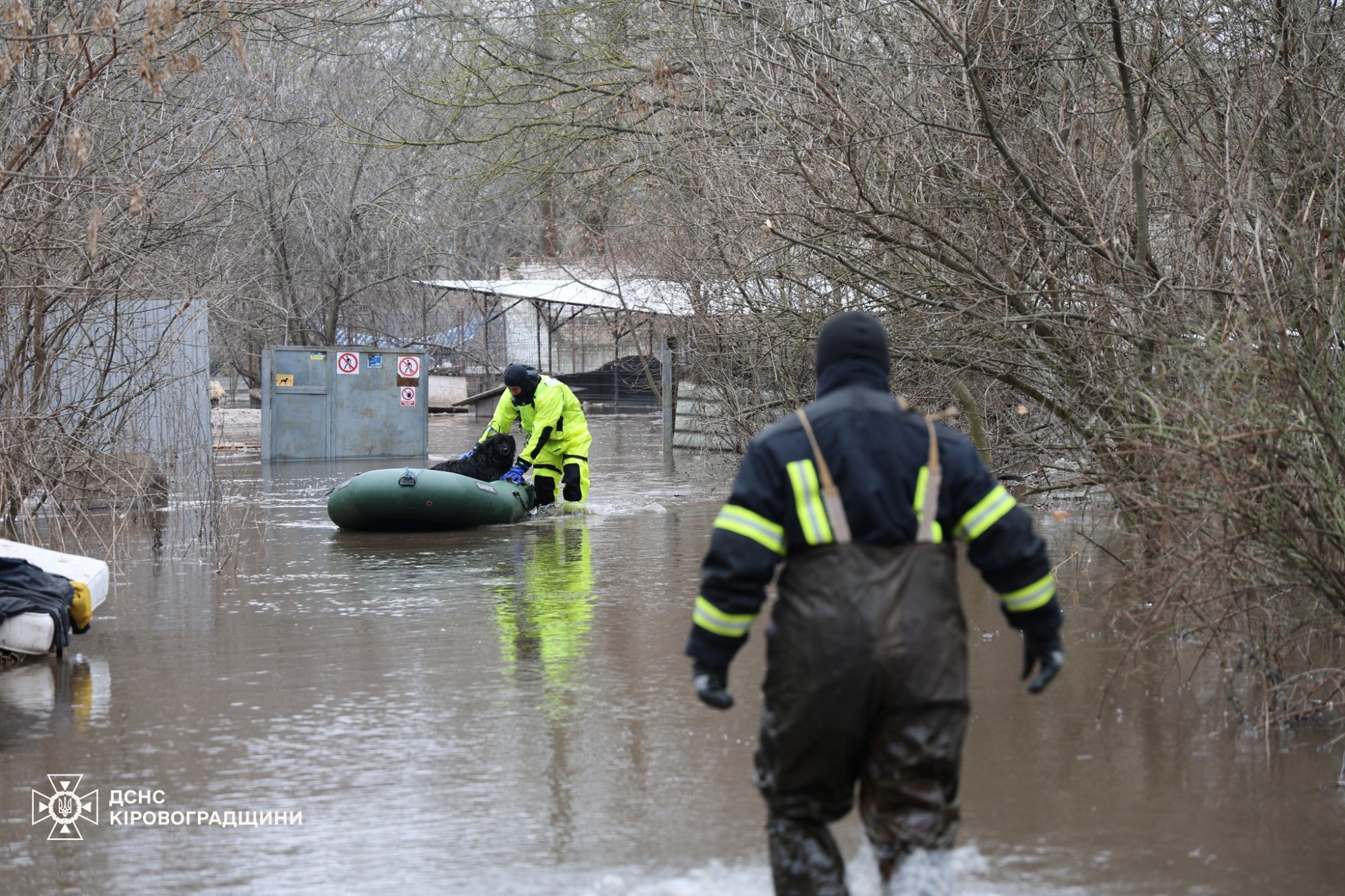 У Кропивницькому рятують притулок «Бім» через підйом рівня води У Кропивницькому рятують притулок «Бім» через підйом рівня води