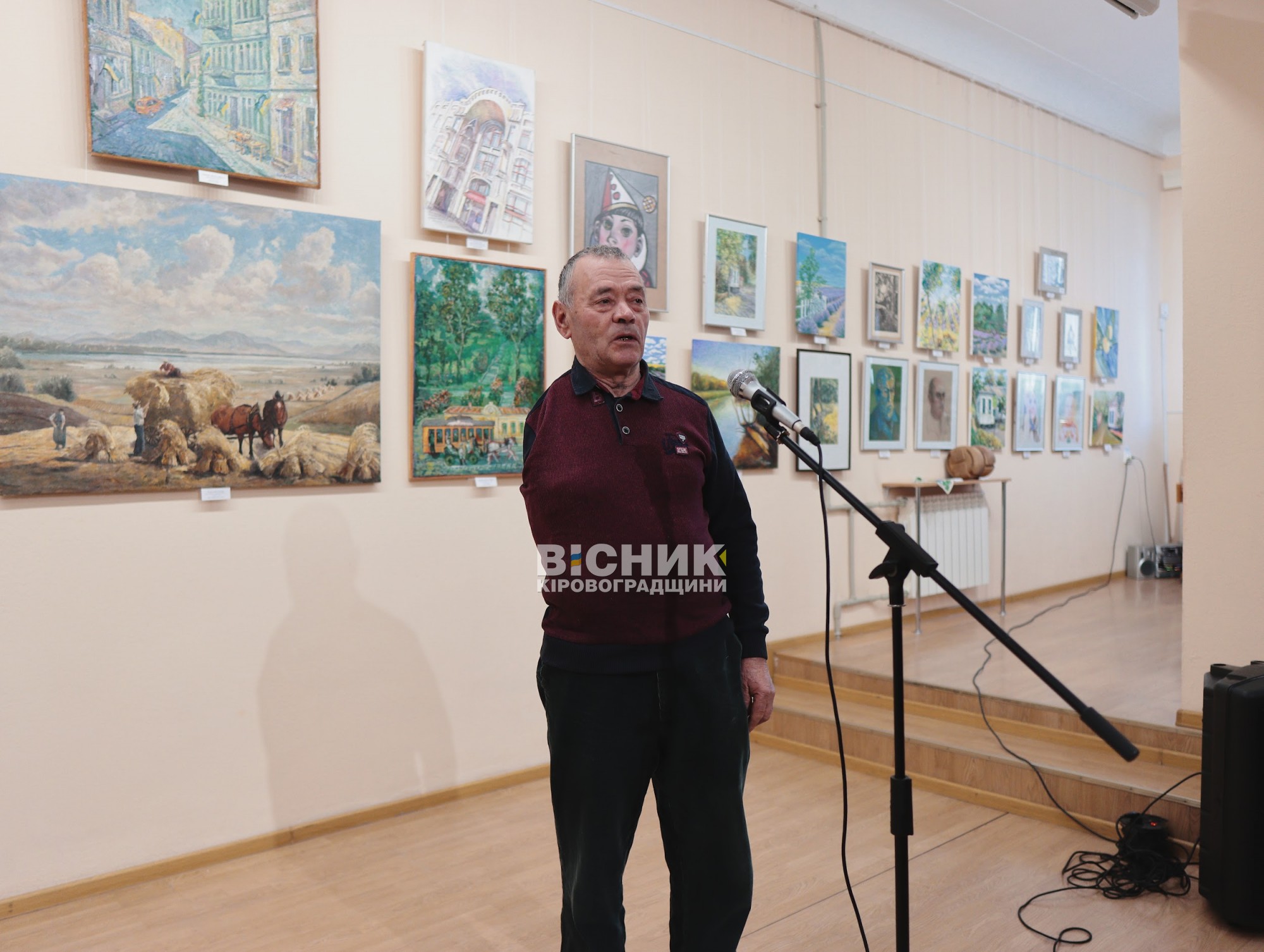 У Кропивницькому відкрили виставку «Музейна рапсодія 2025»