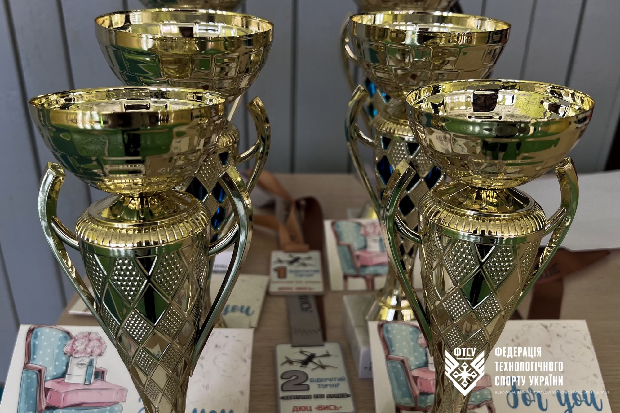 Турнір із перегонів FPV-дронів серед дітей та молоді відбувся у Малій Висці Турнір із перегонів FPV-дронів серед дітей та молоді відбувся у Малій Висці