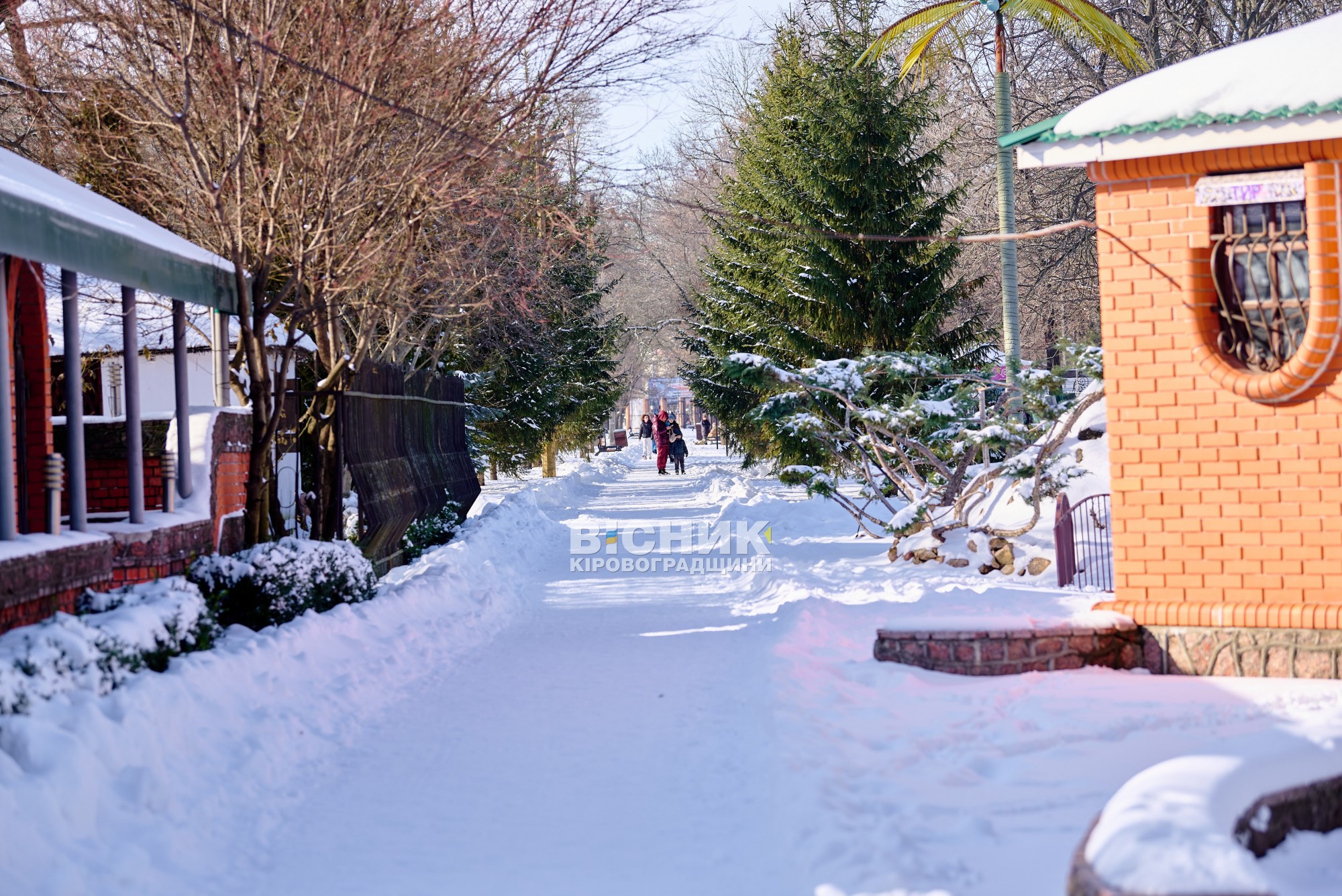 У Кропивницькому проводжали зиму: Колодій у Дендропарку У Кропивницькому проводжали зиму: Колодій у Дендропарку