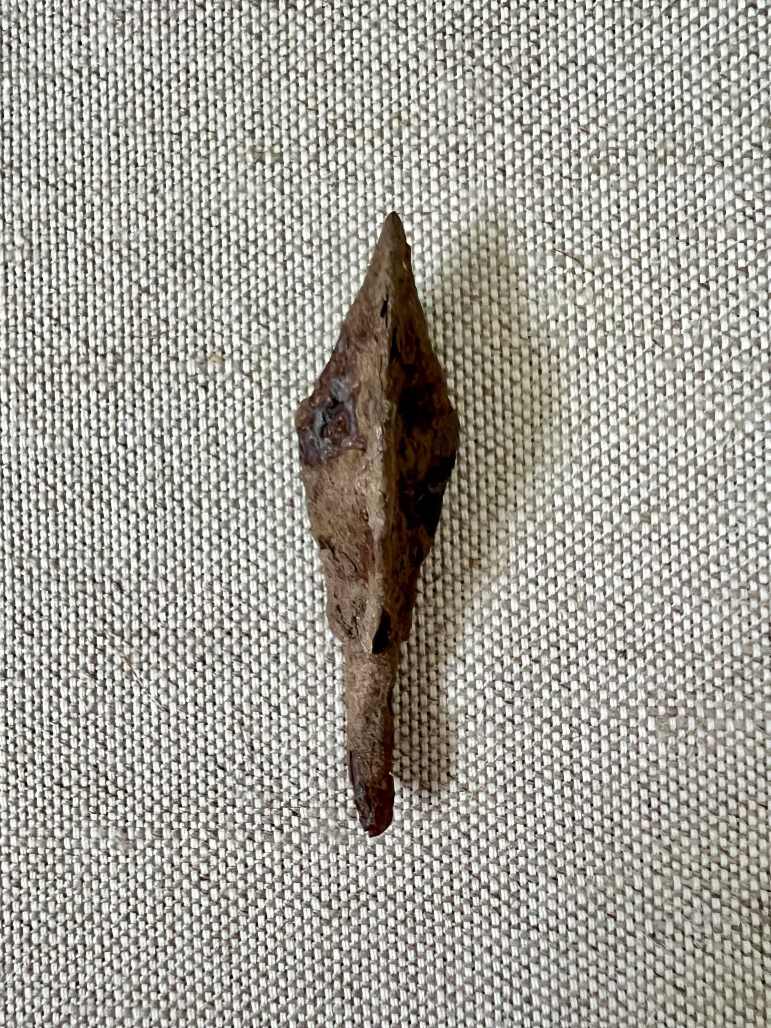 Музей Олександрії запустив виставковий проєкт до 280-річчя міста