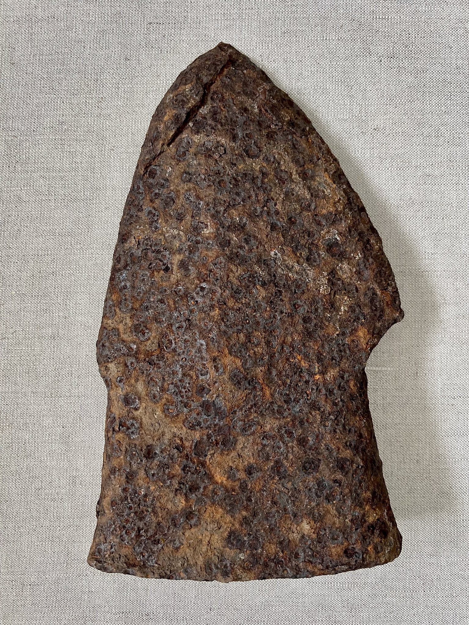 Музей Олександрії запустив виставковий проєкт до 280-річчя міста