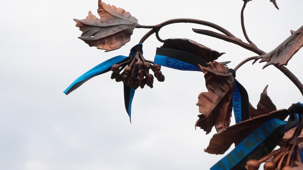 У центрі Кропивницького відкрили меморіальну інсталяцію «Калина надії»