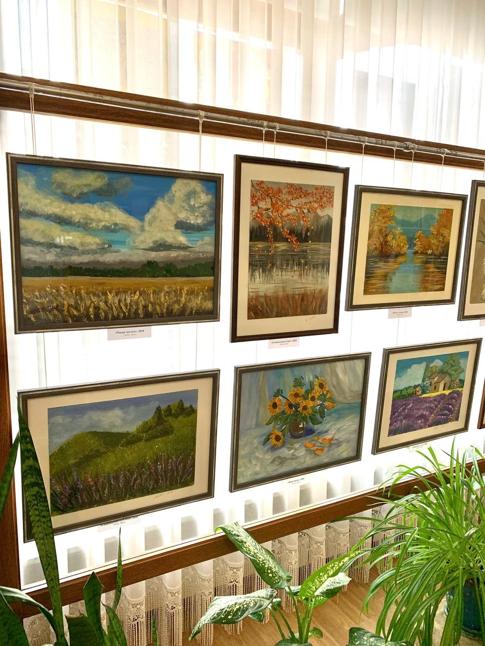 «Магія кольору» як ліки для душі: у Кропивницькому відкрилася виставка Тетяни Костенко