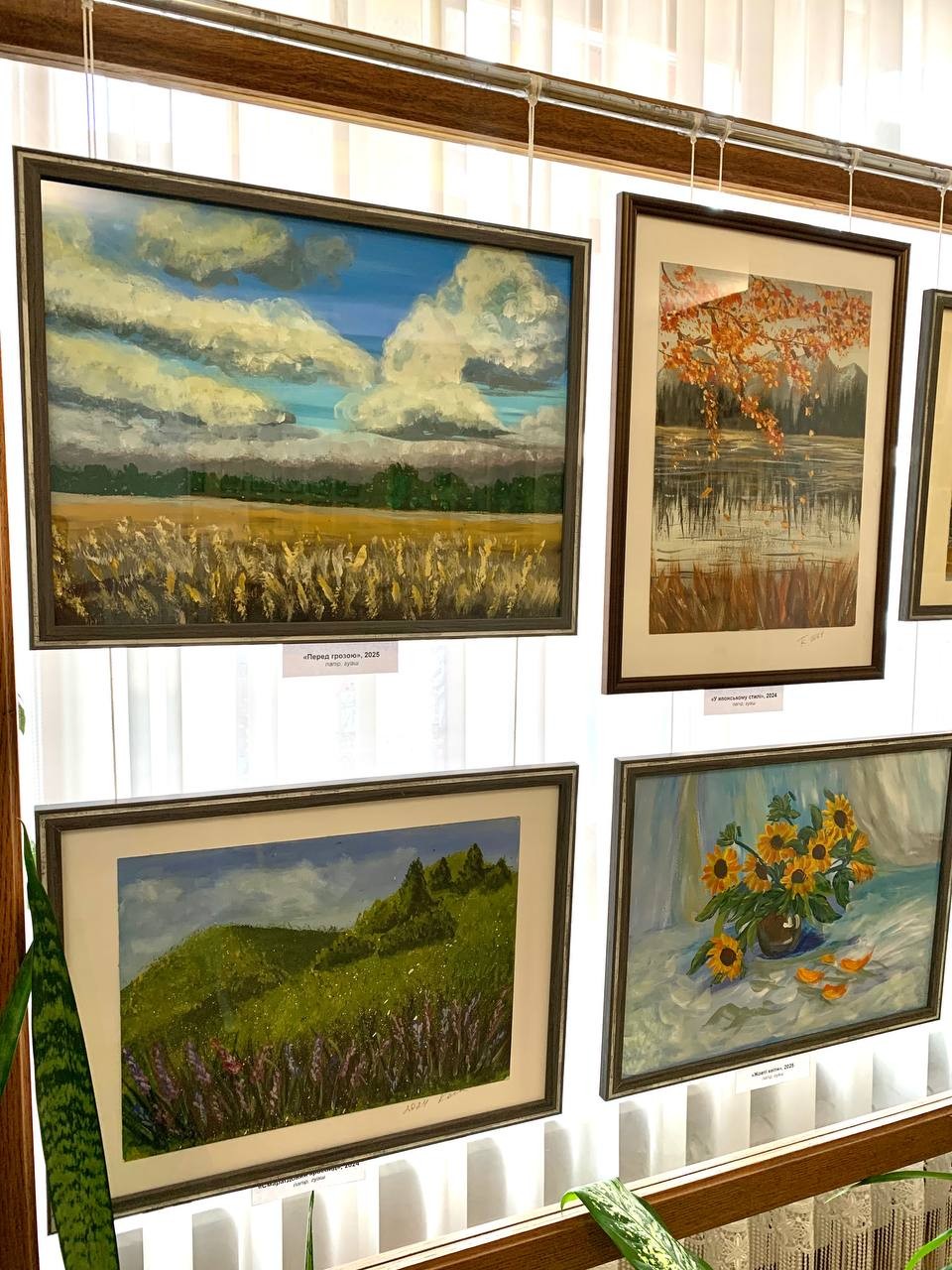 «Магія кольору» як ліки для душі: у Кропивницькому відкрилася виставка Тетяни Костенко