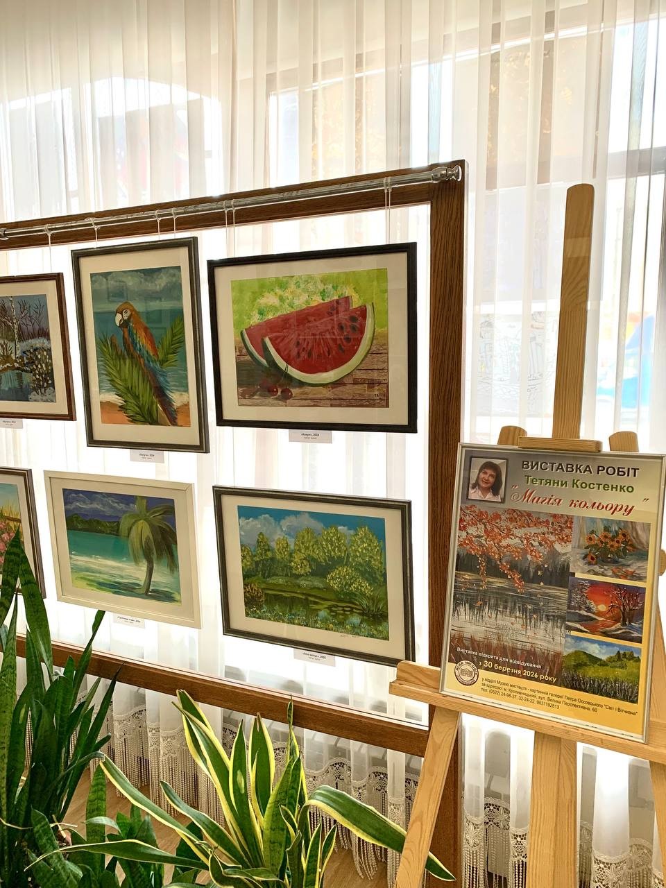«Магія кольору» як ліки для душі: у Кропивницькому відкрилася виставка Тетяни Костенко