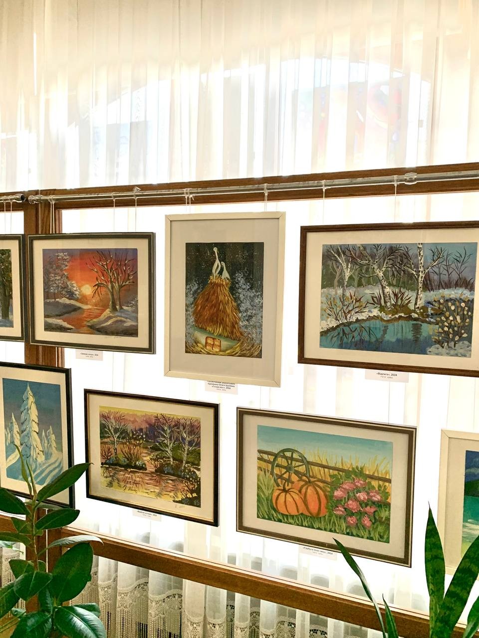 «Магія кольору» як ліки для душі: у Кропивницькому відкрилася виставка Тетяни Костенко