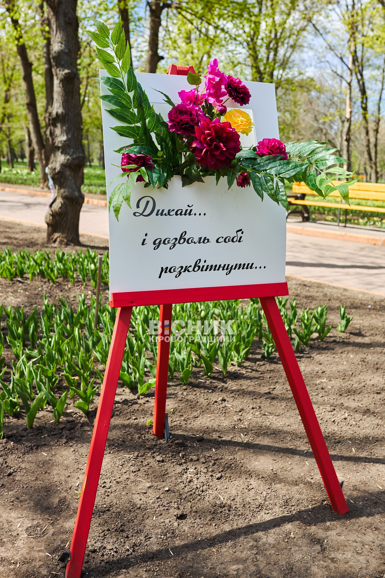 Не тюльпанами єдиними: як Дендропарк зустрів весну 2026 року