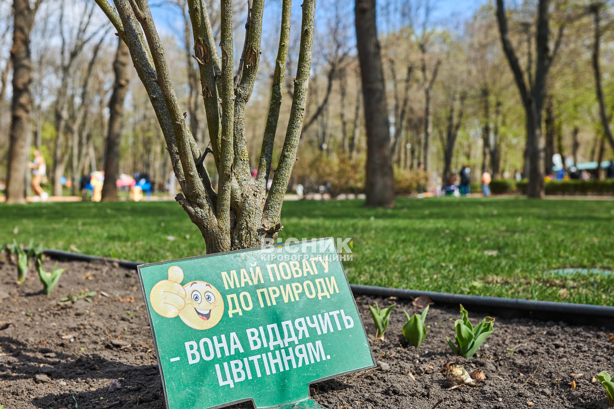 Не тюльпанами єдиними: як Дендропарк зустрів весну 2026 року