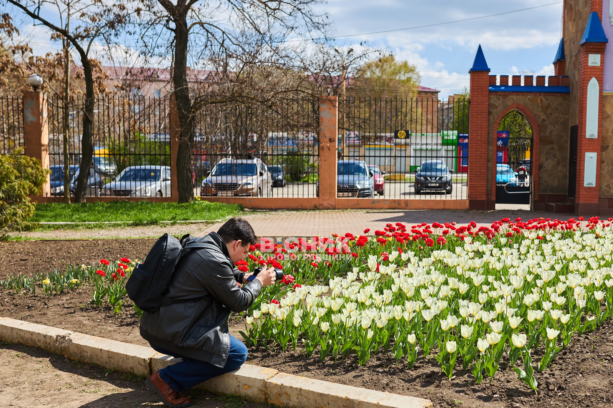 Не тюльпанами єдиними: як Дендропарк зустрів весну 2026 року