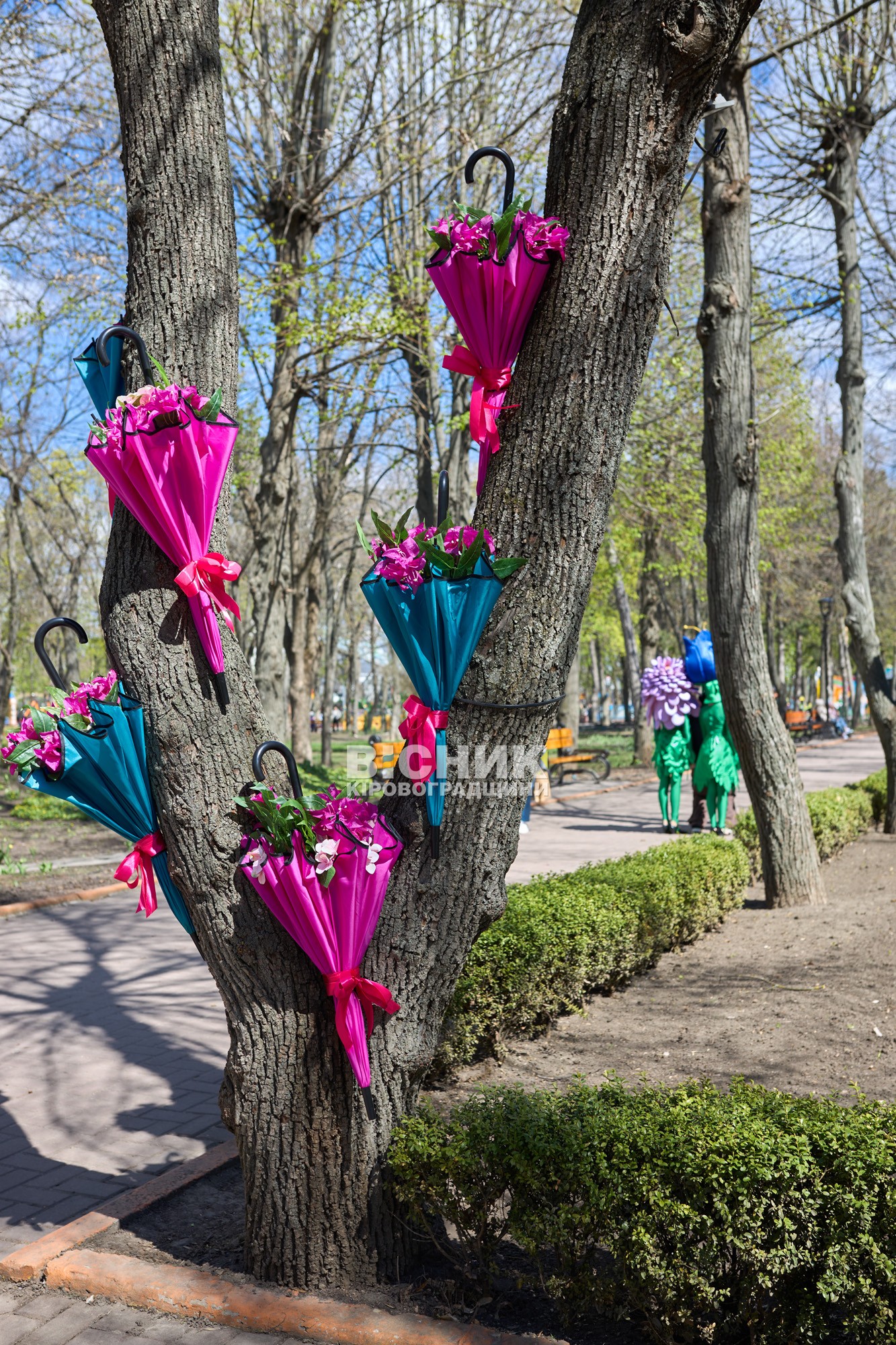 Не тюльпанами єдиними: як Дендропарк зустрів весну 2026 року